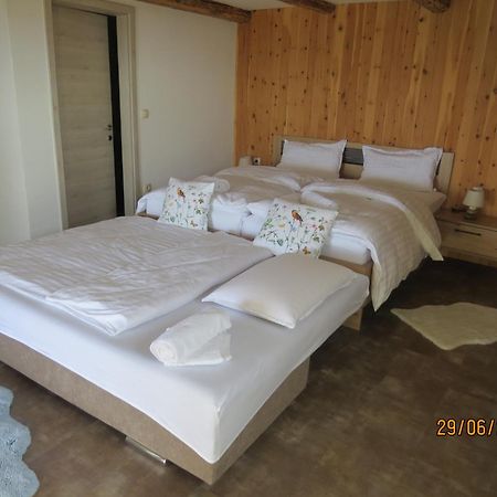 Studio 1111 With Sauna & Hot Tub Dravograd Exterior foto